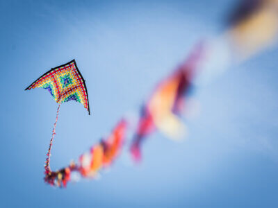 Drache am HImmel beim Drachenfest im Volkspark Potsdam