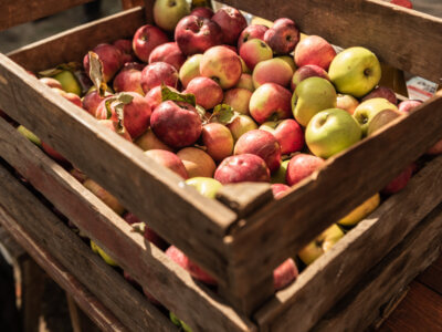 Apfelkiste