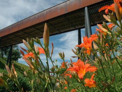 Brücke im Volkspark Potsdam