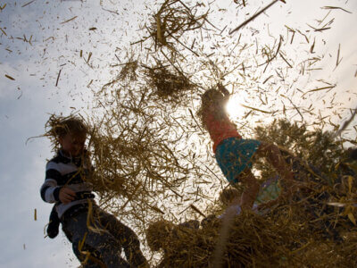 Kinder toben wild im Stroh