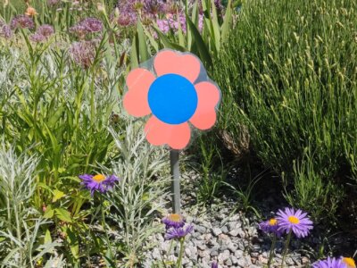 Blumenaktion Jubiläum