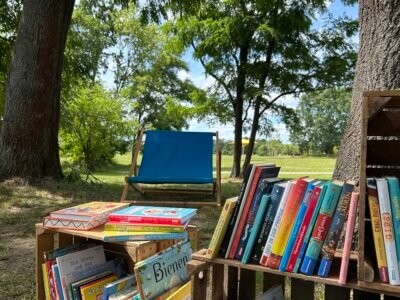 Bücherregal beim Bücherpicknick im Volkspark Potsdam