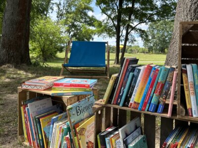 Bücherregal beim Bücherpicknick im Volkspark Potsdam