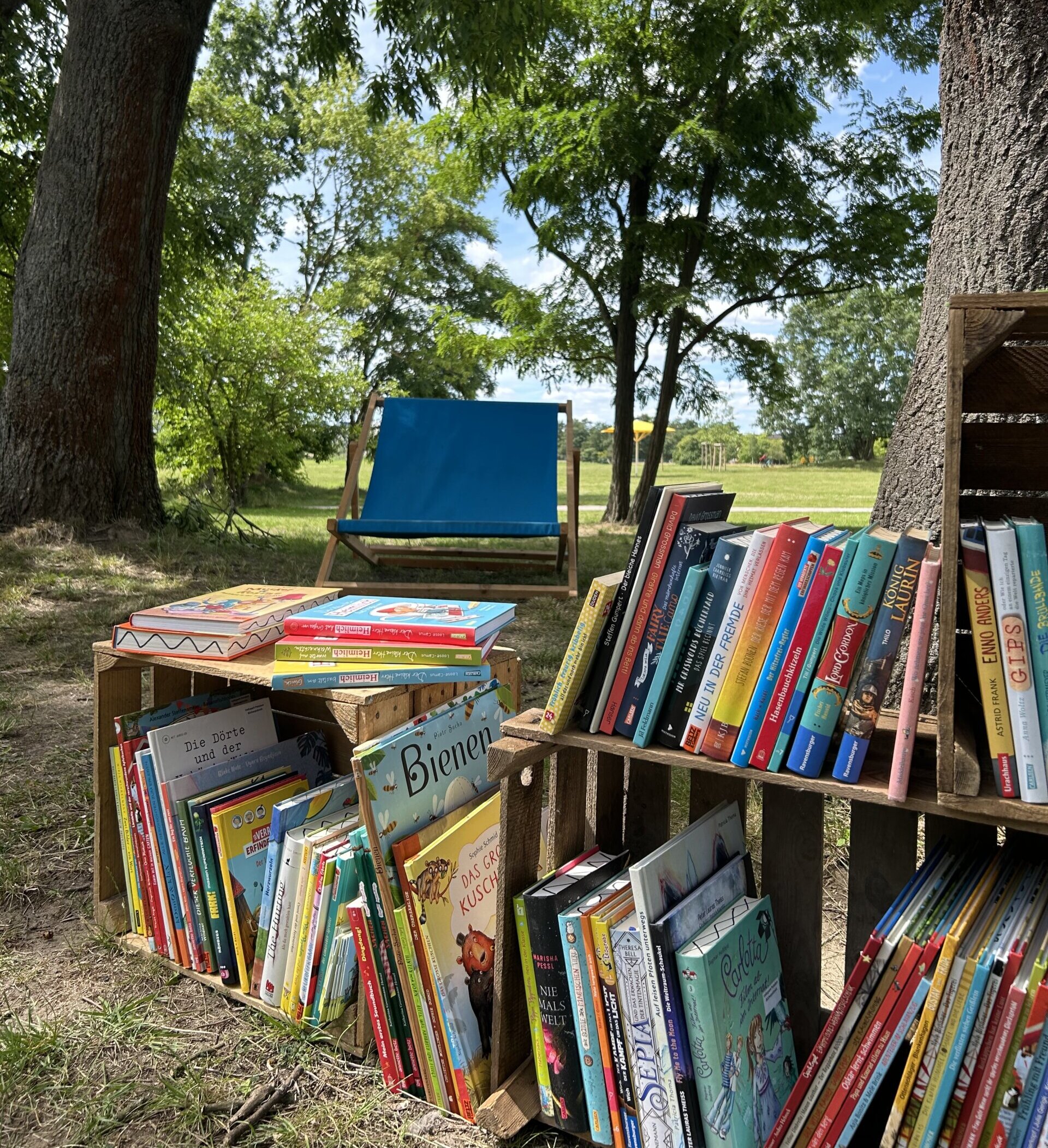 Bücherregal beim Bücherpicknick im Volkspark Potsdam