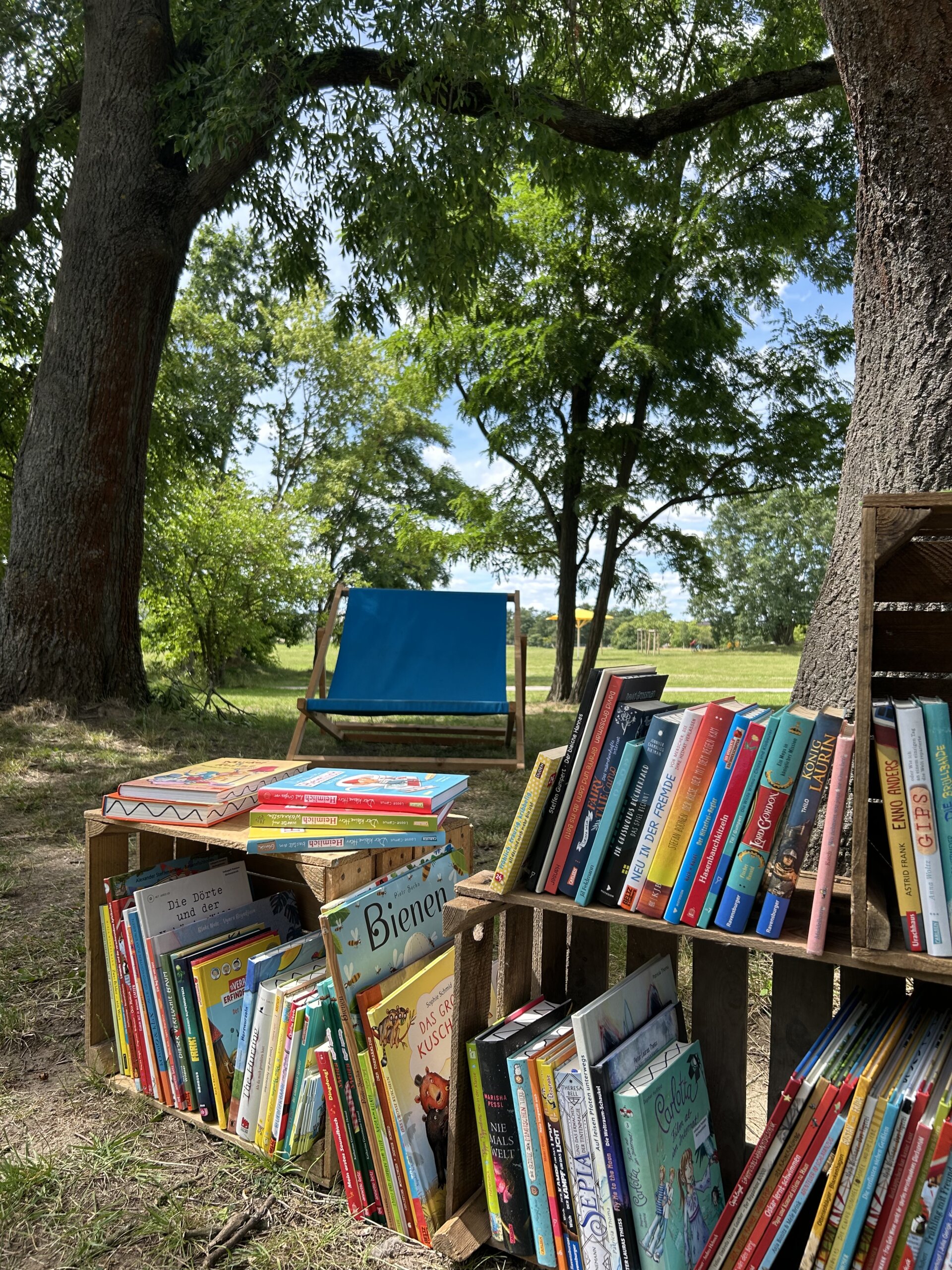 Bücherregal beim Bücherpicknick im Volkspark Potsdam