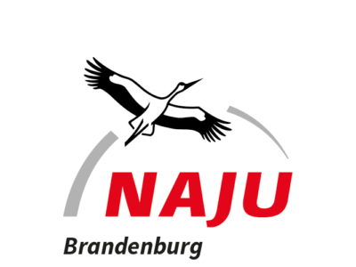 Naturschutzjugend Landesverband Brandenburg Träger e.V. Logo