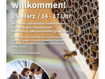 Plakat mit Ankündigung Wildbienen willkommen! am 25.03.2023