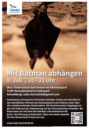 Plakat für Fledermausführung, Fledermaus kopfüber hängend