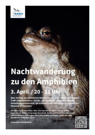 Plakat - Nachtwanderung zu den Amphibien