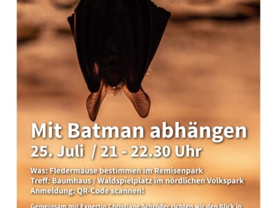Plakat Mit Batman abhängen