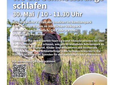 Plakat Insektenführung