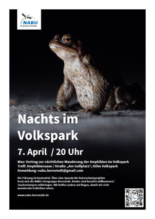 Erdkröte bei Nacht, Plakat für Veranstaltung