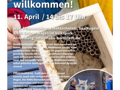 Plakat Wildbienen willkommen