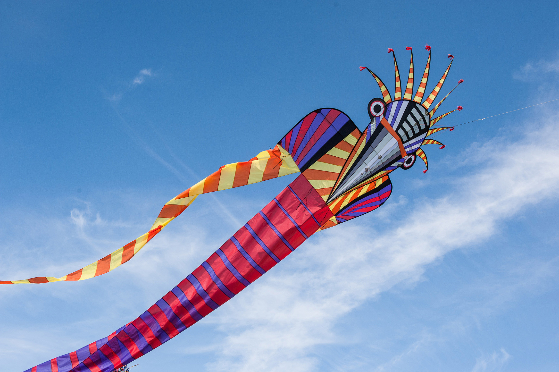 Großer Drachen im Wind vor blauem Himmel, Drachenfest Volkspark Potsdam
