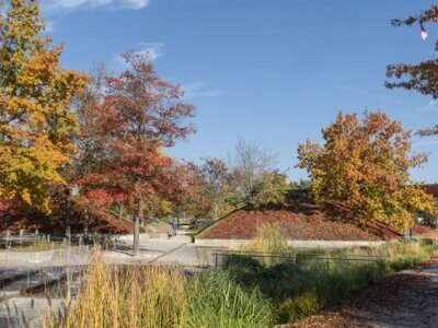 Wallkreuz im Herbst, Volkspark Potsdam