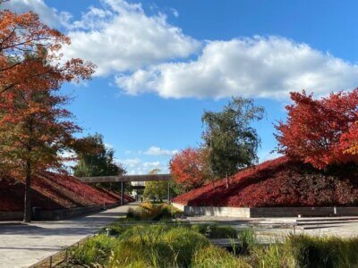 Wallkreuz, Volkspark Potsdam mit Herbstfärbung