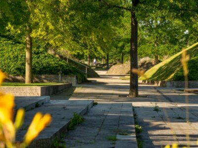 Blick in das Wallkreuz, Volkspark Potsdam