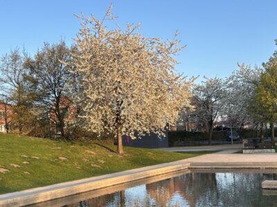 Wasserspielplatz im Volkspark Potsdam