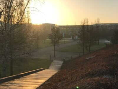 Winter im Volkspark Potsdam